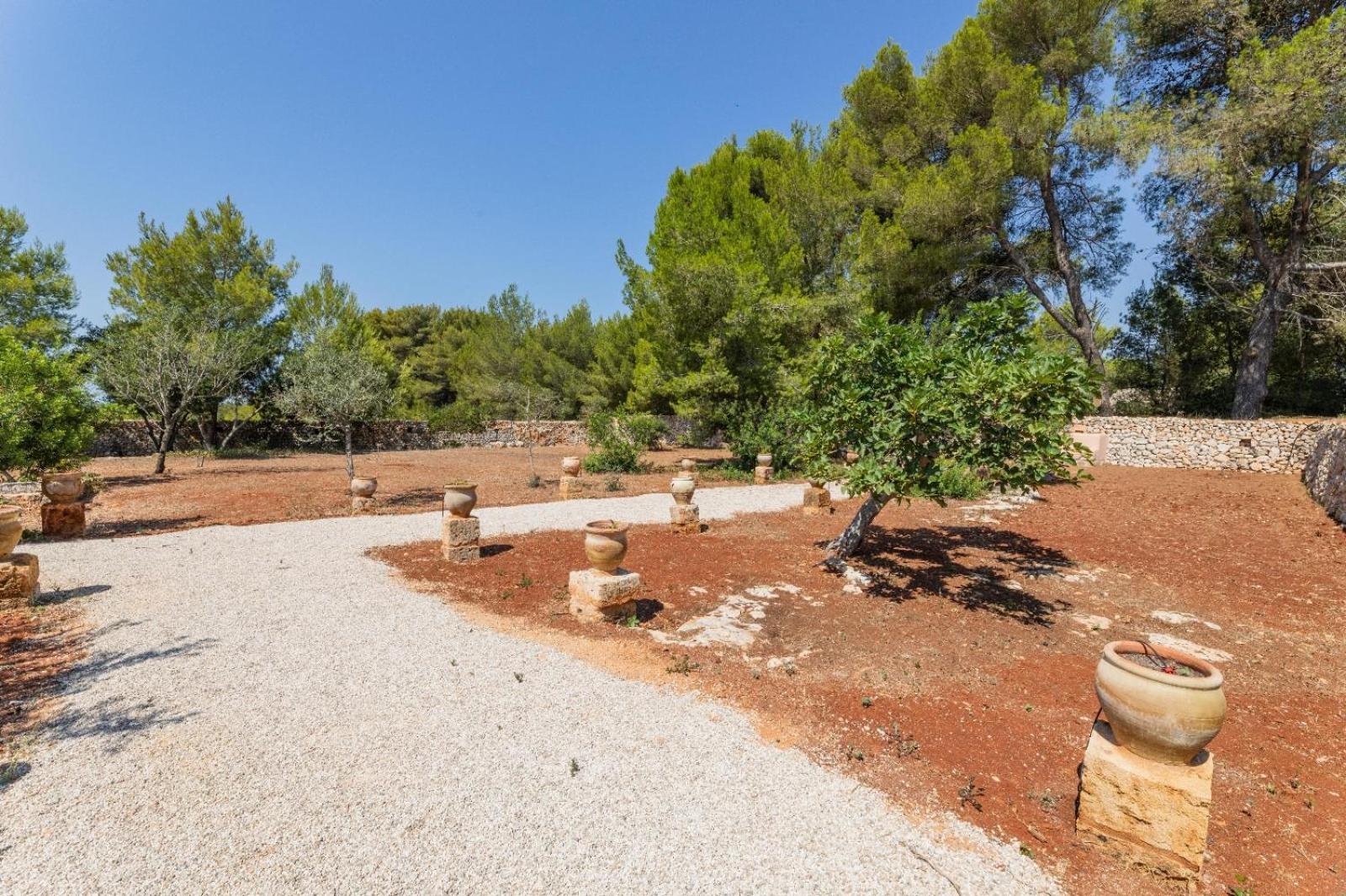 Masseria Scafazzi Hotel Presicce Exterior photo